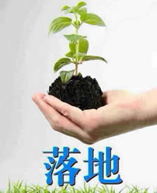实战落地