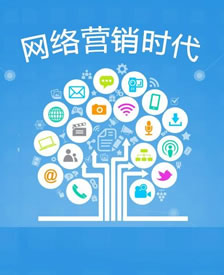 网络电商策划